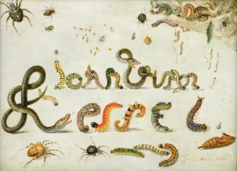 Ogród i inne pająki, gąsienice literują imię artysty, 1657 (olej na miedzi)